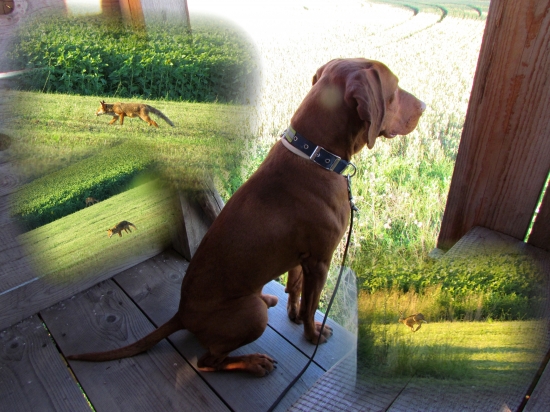 trošku sme cvičili