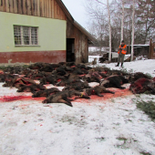 Spoločná poľovačka Bátovce