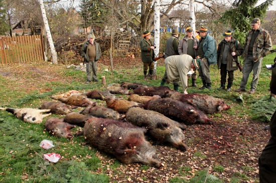 Spoločná poľovačka PS Starý háj