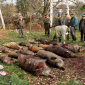 Spoločná poľovačka PS Starý háj