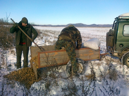 zemiaky pre diviaky....