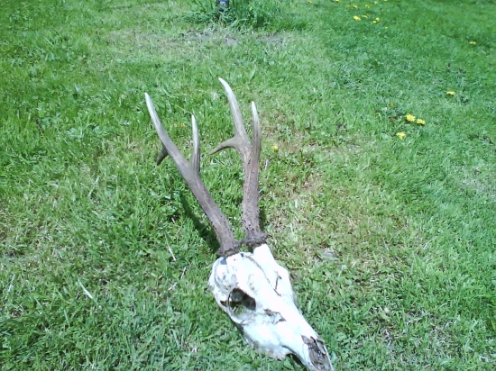 roztrhany na zvaznici