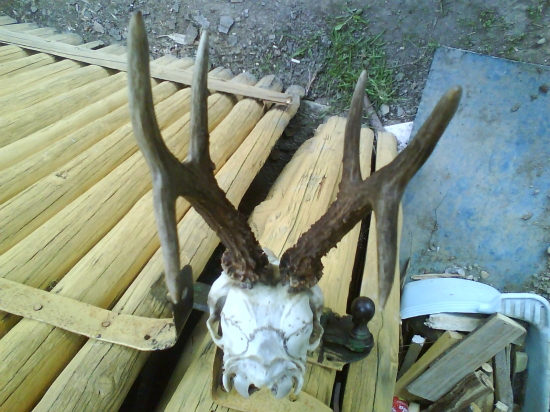 roztrhany na zvaznici