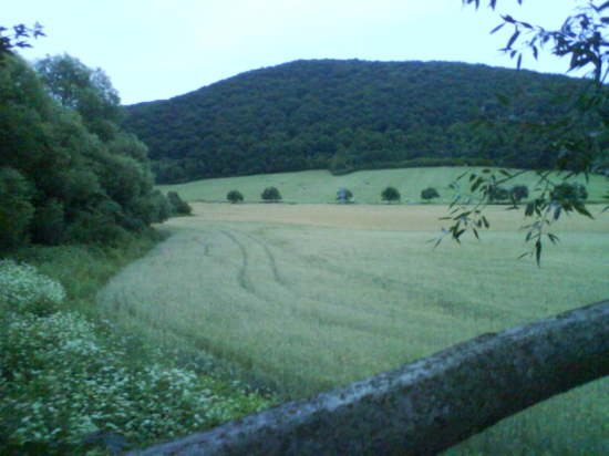 cakanie