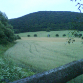 cakanie