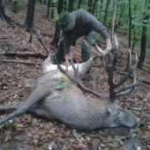 radost doprevadzat .........host sa cini......Ludo velke LOVU ZDAR....