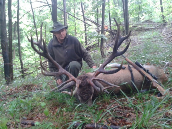 zivotny raritny jelen