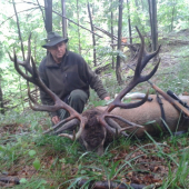 zivotny raritny jelen