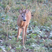 ten istý z iného uhla
