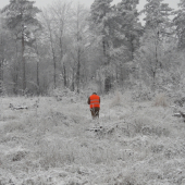 rozprávková krajina