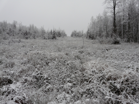 ľadová krajina