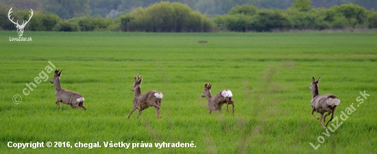 Utekajme už ide