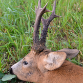 Dopraj druhému, bude dopriate aj Tebe