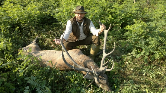 Ruja 2011