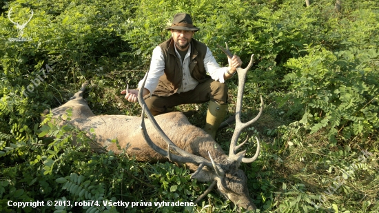Ruja 2011