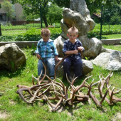 Sezóna 2011