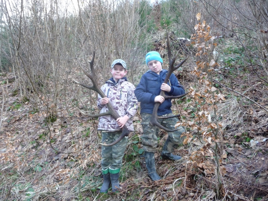 rok ich nikto nechcel