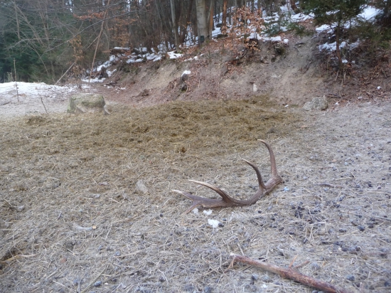 Ďalší desatorák 5/2018