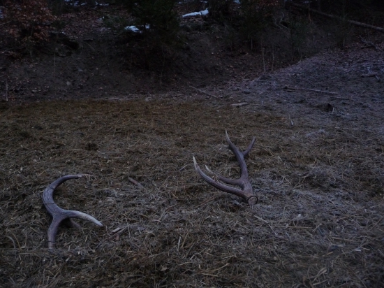 Pekne odložena pára 7-8/2018