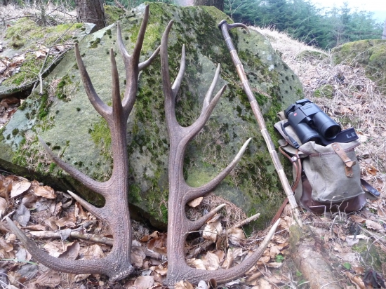 detail k fotke ID 333582