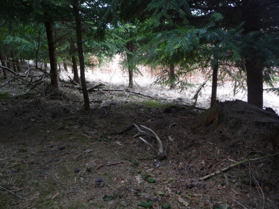 Niečo z vlanajška 12/2018