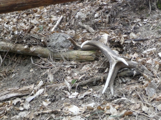 Vlanajší 16torak.13/2018