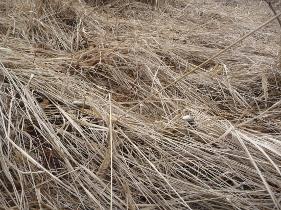 Aký asi bude? 14/2018