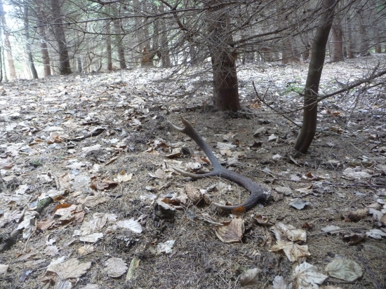 Zase niečo z minuleho roku.15/2018