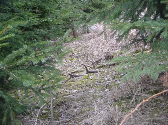 4tý v jeden den  18/2018