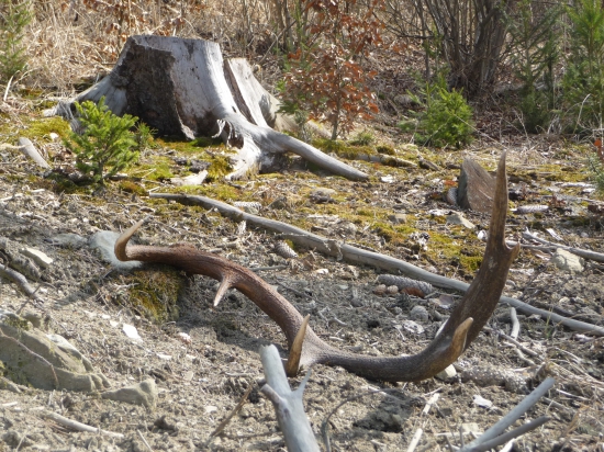 Pozor zákruta-108cm  20/2018