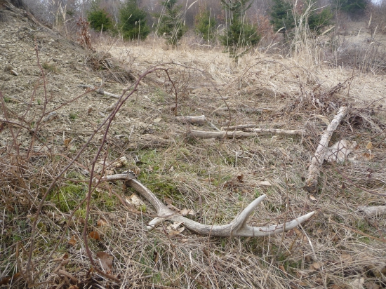 Slnko mu nič nedarovalo. 23/2018