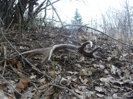 Pod hrebienkom. 26/2018