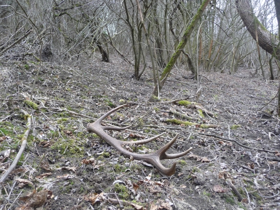 Do páry z id334458. 27/2018