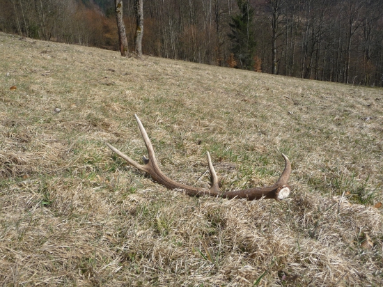 Ďalší lučny. 28/2018