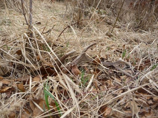 Aj taky poteší. 33/2018