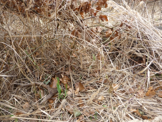 Päť metrov od včerajšieho. 34/2018