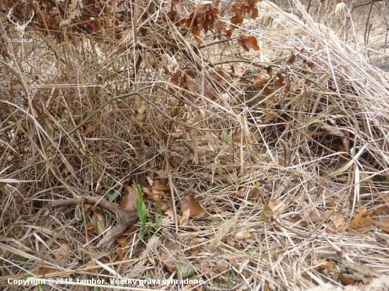 Päť metrov od včerajšieho. 34/2018