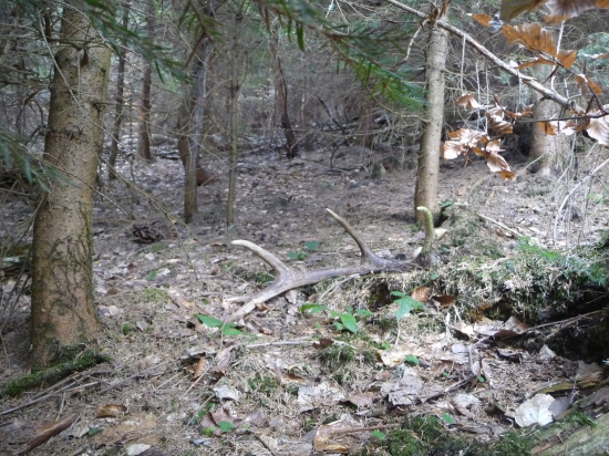 V ten den 3tí krát retro. 35/2018