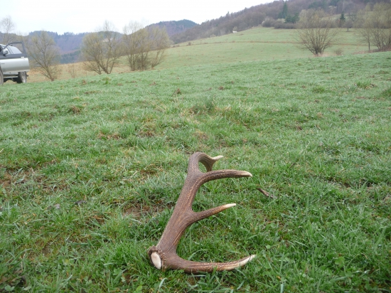 Celkom  pekny lúčny. 36/2018