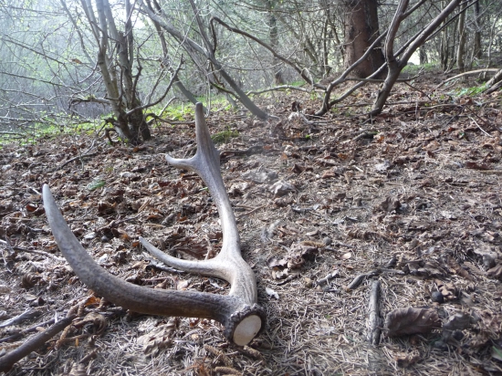 4tý v jeden den  40/2018