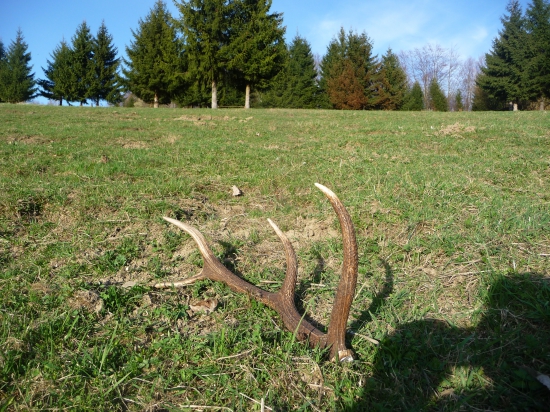 Vyhrieval sa na slniečku 43/2018