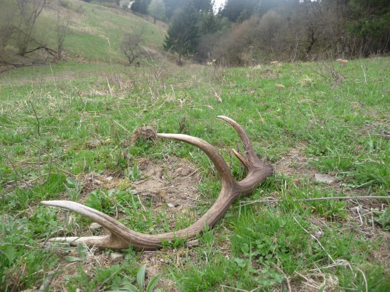 Desatoráčik  44/2018