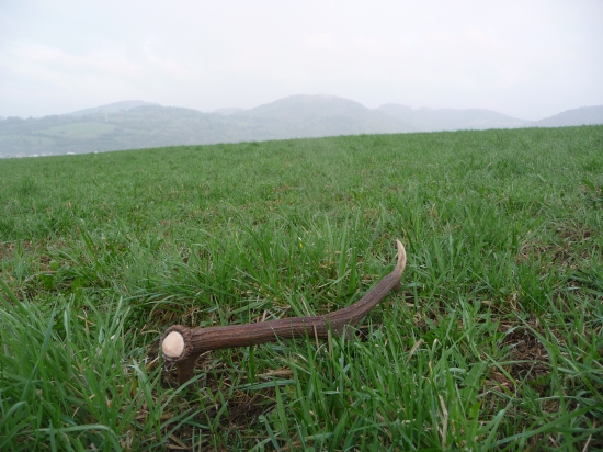 Tráva čoraz väčšia a zhody čoraz menšie  46/2018