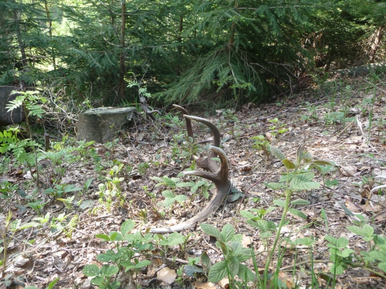 Ukončenie sezony 50/2018