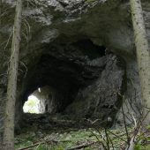 V Necpalskej doline 2