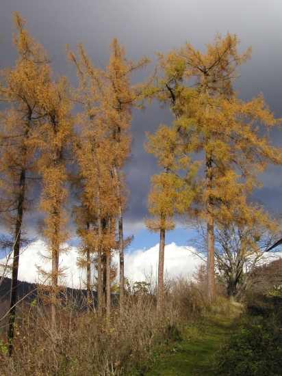 Pod Muránskym hradom