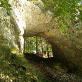 Na Muránskej planine