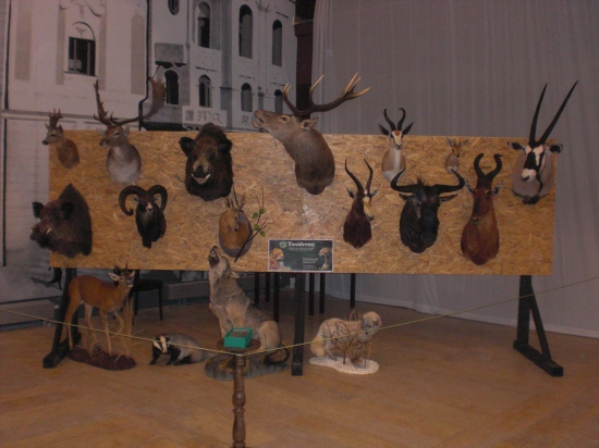 moja  praca kosice 2012 chov prehliadka