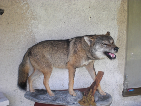 a dalsi