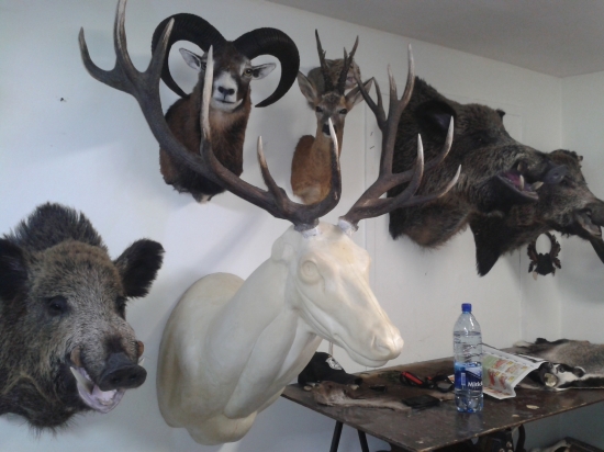 ešte nieje vo svojej koži